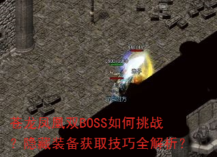 ˫BOSSսװȡȫ