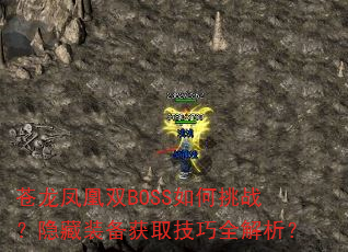˫BOSSսװȡȫ