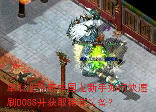 ְҵйοˢBOSSȡϡװ