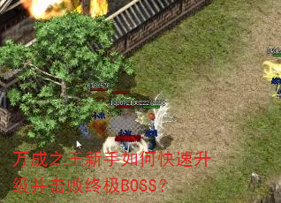 ֮οռBOSS