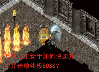 ֮οռBOSS