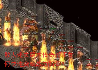 ɢʧ汾οͻսƿ