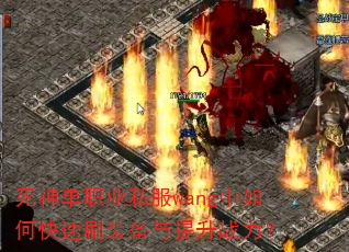 ְҵ˽wangοˢװս