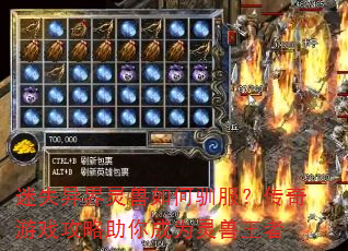 ʧѱϷΪ