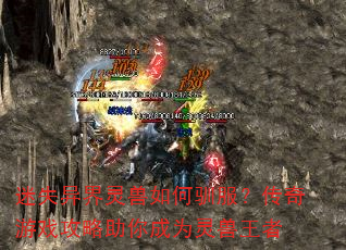 ʧѱϷΪ