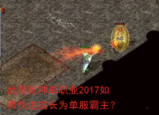 Ǭְҵ2017οٳɳΪ