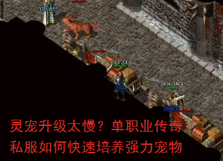 ְ̫ҵ˽οǿ