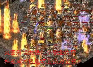 ְ̫ҵ˽οǿ