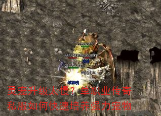 ְ̫ҵ˽οǿ