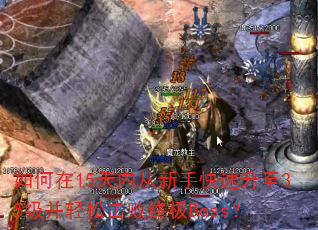 15ڴֿ35ɻռBoss