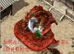 15ڴֿ35ɻռBoss