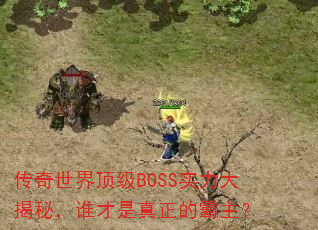 綥BOSSʵأ˭İ