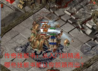 漼飺ŵͨЩӱ