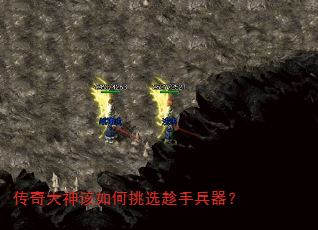 ѡֱ