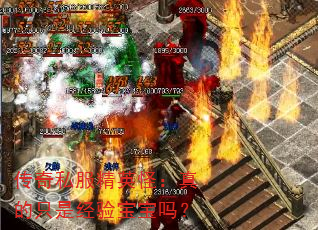 ˽Ӣֻ֣Ǿ鱦