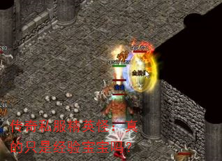 ˽Ӣֻ֣Ǿ鱦