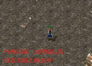 ˽ӸЧɱ֮