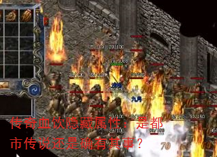 ѪԣǶд˵ȷ£