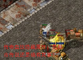 ѪԣǶд˵ȷ£