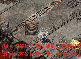 想快速解锁全部技能树?新手村起步如何高效刷经验值成为全能王者? 想快速解锁全部技能树?新手村起步如何高效刷经验值成为全能王者?
