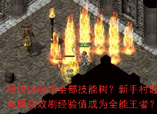 想快速解锁全部技能树?新手村起步如何高效刷经验值成为全能王者? 想快速解锁全部技能树?新手村起步如何高效刷经验值成为全能王者?