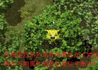 传奇游戏角色培养时属性加点冲突如何在不同属性间找到最佳平衡点? 传奇游戏角色培养时属性加点冲突如何在不同属性间找到最佳平衡点?