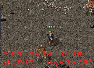 б䴫սBOSSʱЩЧ򷨣ͬʽѡ