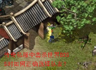 ˽лɱBOSSʱȷѡѣ