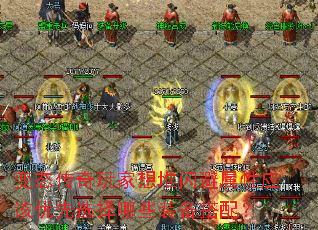 ̬ӦѡЩװ䣿