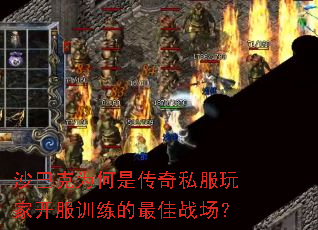ɳͿΪǴ˽ҿѵս