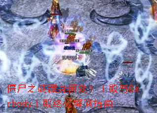 ʬ֮ղδCarbodyռָ