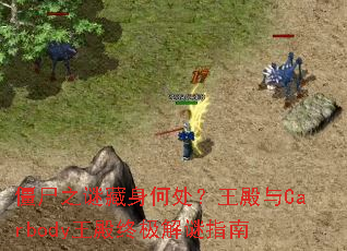 ʬ֮ղδCarbodyռָ