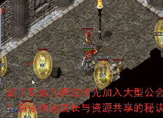 ΪӦȼ͹᣿̽ٳɳԴؾ