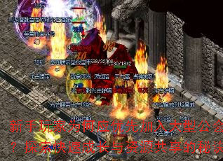 ΪӦȼ͹᣿̽ٳɳԴؾ