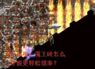 ˽ħôܸЧʣ