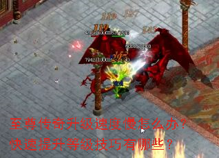ٶô죿ȼЩ