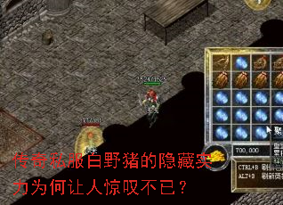 ˽ҰʵΪ˾̾ѣ