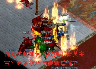 淨ʦθЧץȡӢر벽⣿