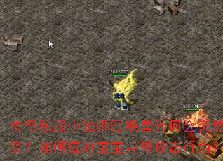 传奇私服中法师召唤兽为何会突然叛变?如何应对宝宝异常攻击行为? 传奇私服中法师召唤兽为何会突然叛变?如何应对宝宝异常攻击行为?