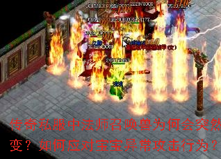 传奇私服中法师召唤兽为何会突然叛变?如何应对宝宝异常攻击行为? 传奇私服中法师召唤兽为何会突然叛变?如何应对宝宝异常攻击行为?