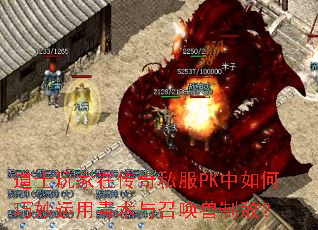 道士玩家在<a href=