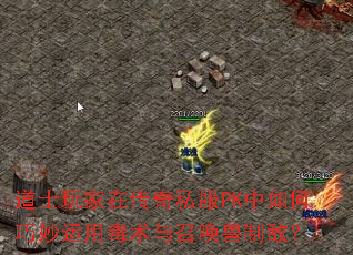 道士玩家在传奇私服PK中如何巧妙运用毒术与召唤兽制敌? 道士玩家在传奇私服PK中如何巧妙运用毒术与召唤兽制敌?