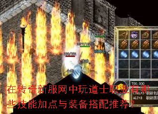 在传奇新服网中玩道士职业有哪些技能加点与装备搭配推荐? 在传奇新服网中玩道士职业有哪些技能加点与装备搭配推荐?