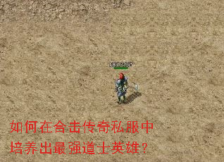如何在合击传奇私服中培养出最强道士英雄? 如何在合击传奇私服中培养出最强道士英雄?