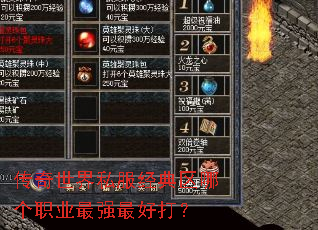 传奇世界私服经典区哪个职业最强最好打? 传奇世界私服经典区哪个职业最强最好打?
