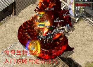 传奇生物怎么玩?新手入门攻略与进阶技巧 传奇生物怎么玩?新手入门攻略与进阶技巧