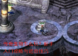 传奇生物怎么玩?新手入门攻略与进阶技巧 传奇生物怎么玩?新手入门攻略与进阶技巧