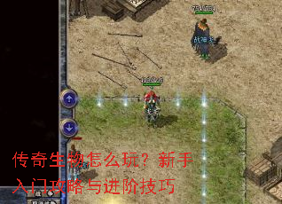 传奇生物怎么玩?新手入门攻略与进阶技巧 传奇生物怎么玩?新手入门攻略与进阶技巧