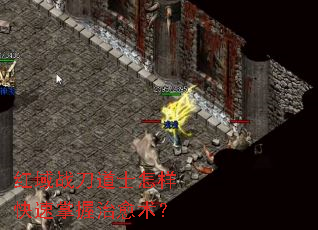 红域战刀道士怎样快速掌握治愈术? 红域战刀道士怎样快速掌握治愈术?