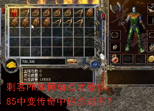 刺客PK如何加点才能1.85中变传奇中秒杀对手? 刺客PK如何加点才能1.85中变传奇中秒杀对手?